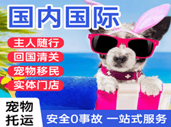成都航空快运国际宠物托运 【国